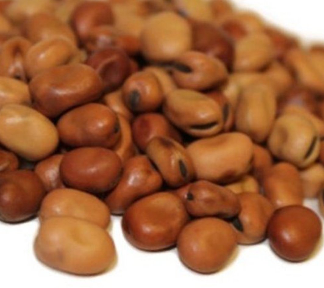 Fava Beans Small (55lbs) 