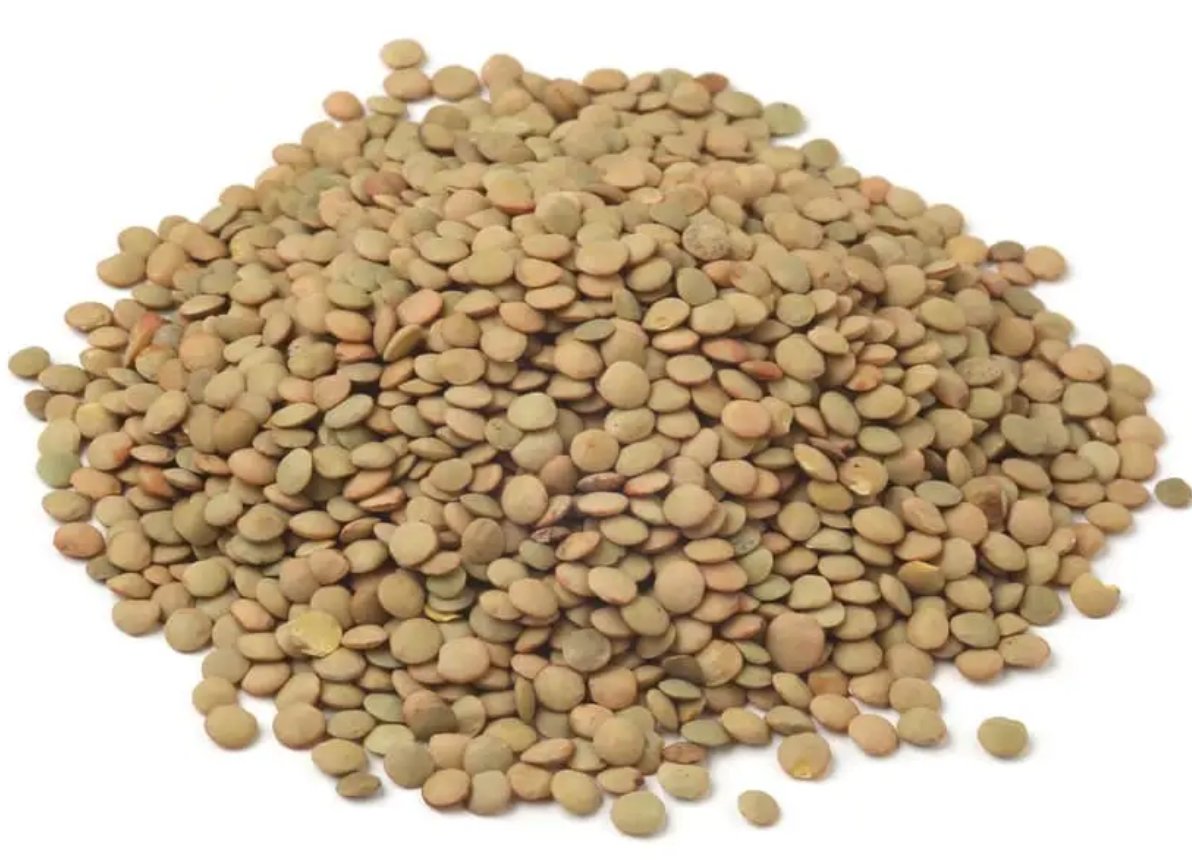 Green Lentils Small (55lbs) 