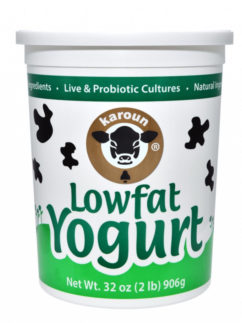 Low Fat Yogurt -Karoun  02504