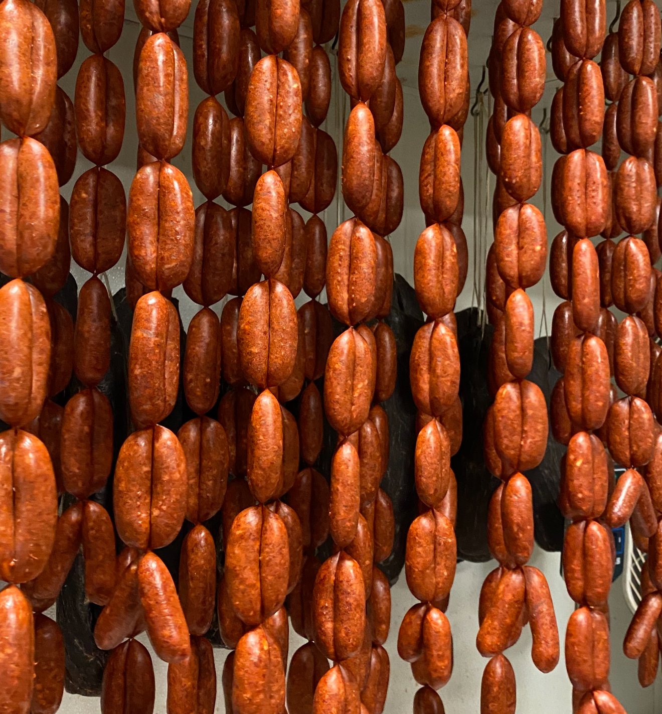 Makanik Sausage -Jerry 