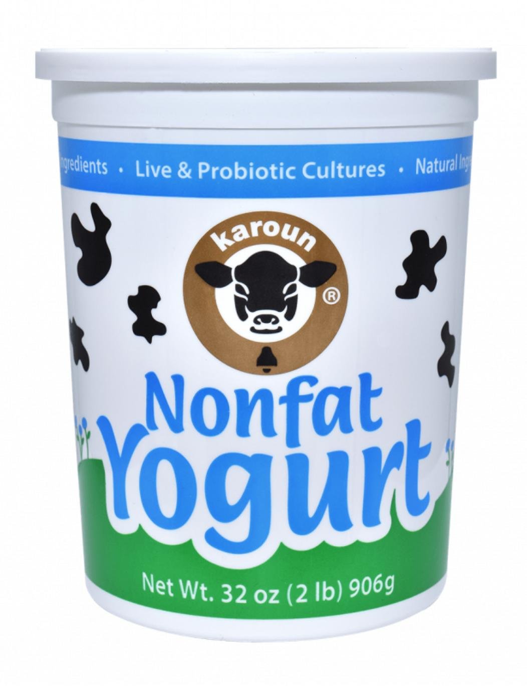 Non Fat Yogurt -Karoun  02505