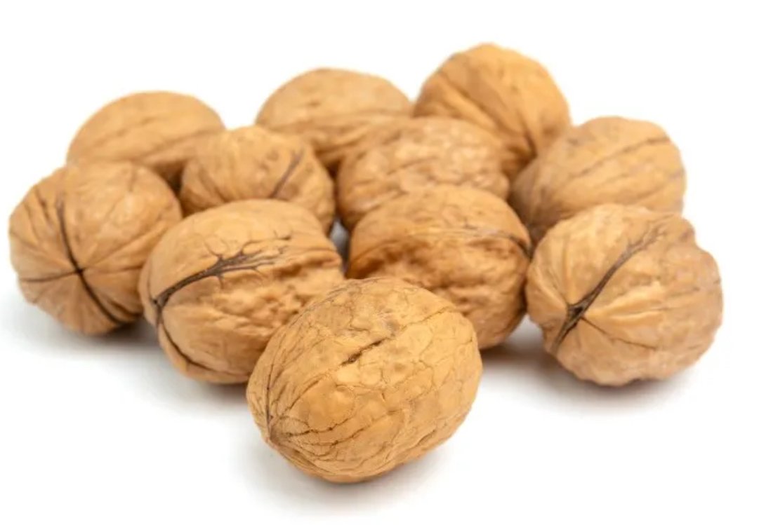 Walnut in Shell (50lbs) 